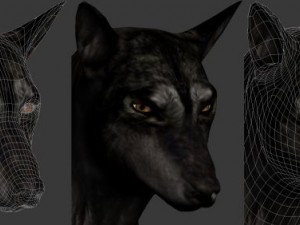 wolf 3D Модель