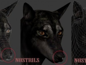 wolf 3D Модель
