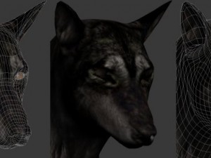 wolf 3D Модель