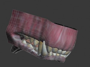 wolf 3D Модель