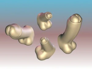 Animated skin slide penis realistic male genital flaccid erect 3D Model