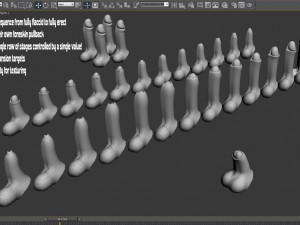 Animated skin slide penis realistic male genital flaccid erect 3D Model
