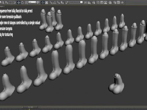 Animated skin slide penis realistic male genital flaccid erect 3D Model