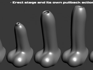Animated skin slide penis realistic male genital flaccid erect 3D Model