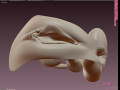Realistic female genital pussy vagina - amy model 3D Модель