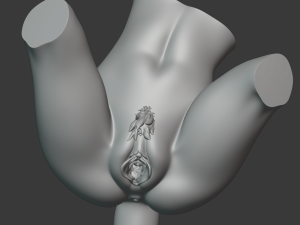 female furry torso - waist - hip - pussy vagina area --- explicit 3D Model