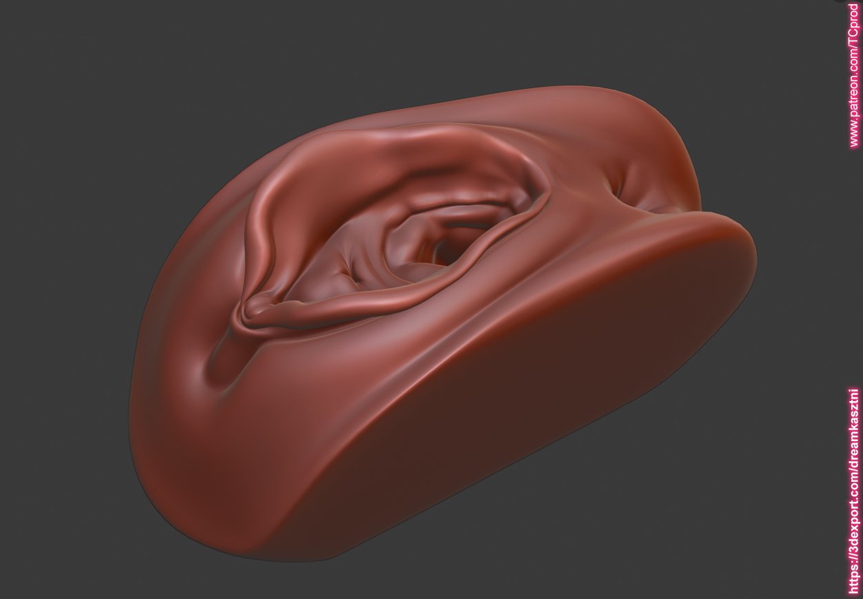 pussy vagina anus any medical toy animation printing purposes 2 3D Model in Anatomy 3DExport