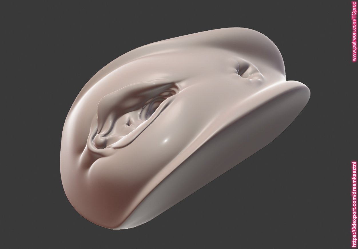 vagina anus block for any medical toy animation printing purposes 5 3D Model in Anatomy 3DExport