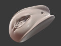 pussy vagina anus block for any medical toy animation printing purposes 5 3D Модель