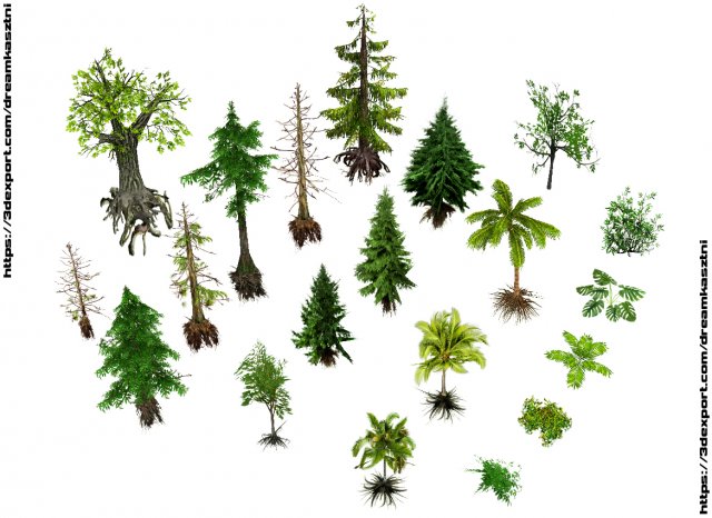 Forest foliage pack 1 --- pine - palm - other trees and bushes 3D 모델 .c4d .max .obj .3ds .fbx .stl .blend 