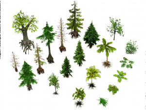 Forest foliage pack 1 --- pine - palm - other trees and bushes 3D Model