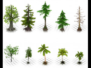 Forest foliage pack 1 --- pine - palm - other trees and bushes 3D 모델