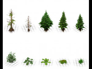 Forest foliage pack 1 --- pine - palm - other trees and bushes 3D Model
