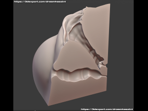 LS модельки rori wet  vagina Next-gen pussy vagina groin loins model - print or animation ready 3D  Модель in Анатомия 3DExport
