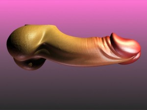 male genital erect penis 3Dモデル