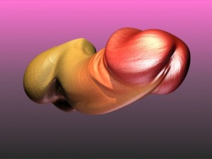 male genital erect penis 3Dモデル
