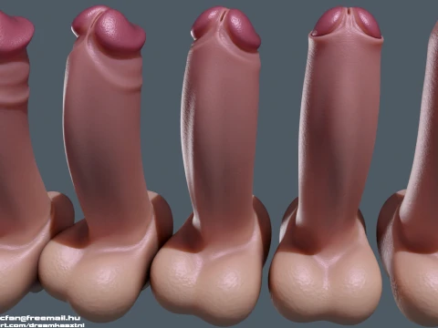 Next Generation Animated Penis Human Reproductive Organ Erect Flaccid 3D Model