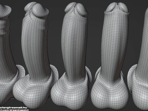 Next Generation Animated Penis Human Reproductive Organ Erect Flaccid 3D Model