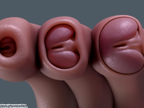 Next Generation Animated Penis Human Reproductive Organ Erect Flaccid 3D Model