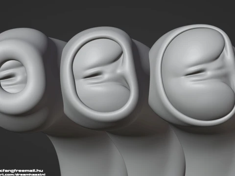 Next Generation Animated Penis Human Reproductive Organ Erect Flaccid 3D Model