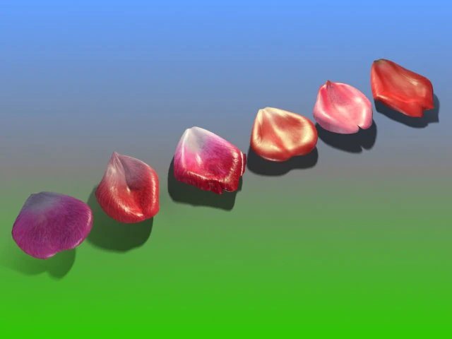 rose petals bud 3D Model .c4d .max .obj .3ds .fbx .stl .blend 