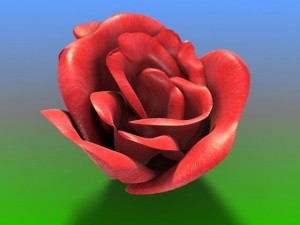 rose petals bud Modelo 3D