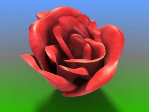 rose petals bud 3D Model