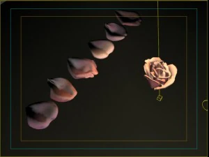 rose petals bud 3D Model