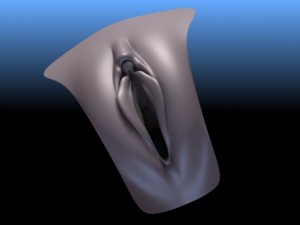female genital realistic vagina pussy 3D Model