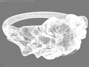 ring 3D Модель