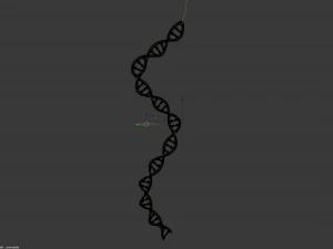 dna double helix blender 3D Model