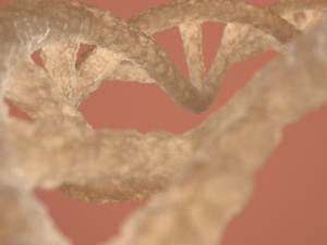 dna double helix blender Modelo 3D