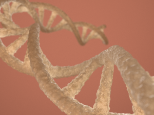 dna double helix blender Modelo 3D