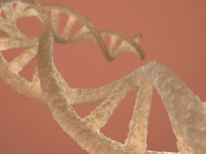dna double helix blender 3D Model