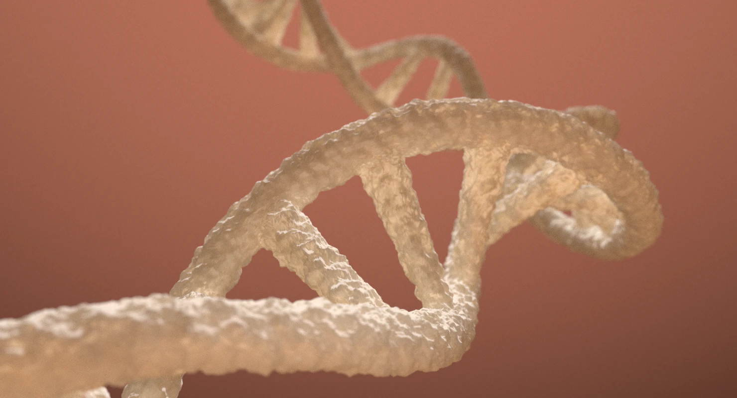 dna double helix blender 3D Model .c4d .max .obj .3ds .fbx .stl .blend