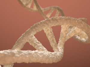 dna double helix blender Model 3D