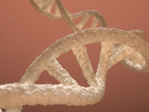 डीएनए डबल हेलिक्स ब्लेंडर 3D मॉडल