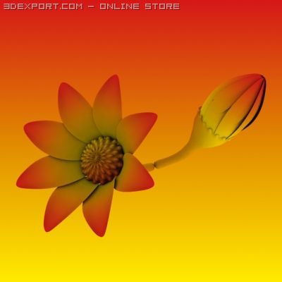 animated flower 3D Model .c4d .max .obj .3ds .fbx .stl .blend 