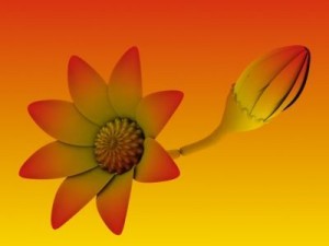 animated flower Modèle 3D