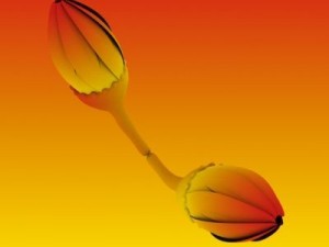 animated flower 3D Model