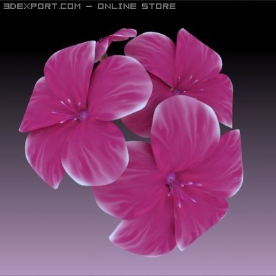 flower 3Dモデル .c4d .max .obj .3ds .fbx .stl .blend