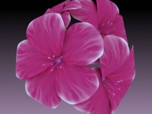 flower 3Dモデル