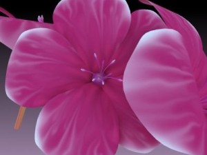 flower 3Dモデル