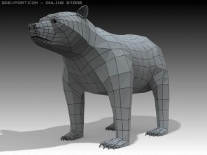 bear 3D मॉडल