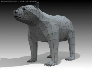 bear 3D Model