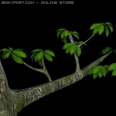 leaf tree 3D Model .c4d .max .obj .3ds .fbx .stl .blend 