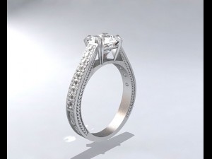 ring Model 3D