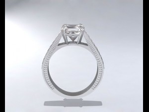ring Modelo 3D
