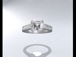 ring Modelo 3D