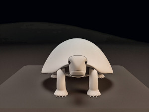 free 3d turtle model Model 3D